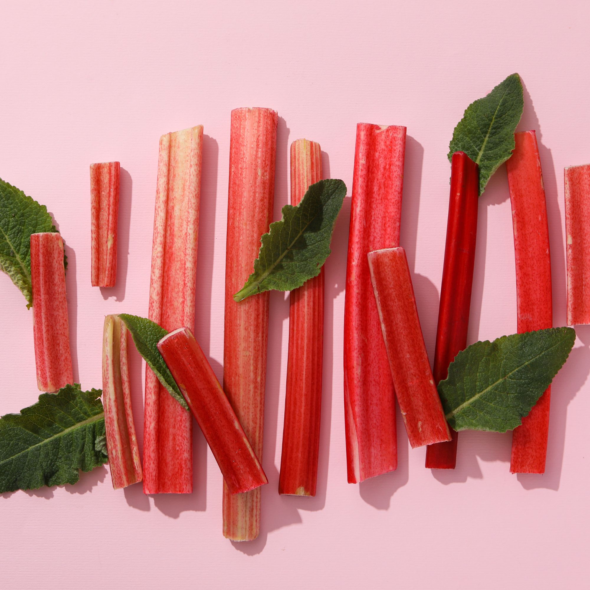 Rhubarb Crowns - Spring - Valentine - 2 Pack - Rheum rhabarbarum - Live Rhubarb Spring Plant Root Starts - Grow Heirloom Garden 